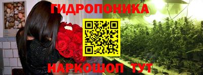 ешки Канаш
