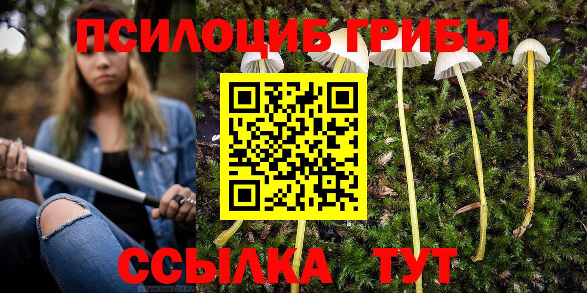 Галлюциногенные грибы Magic Shrooms  Галлюциногенные грибы GOLDEN TEACHER  Вход с VPN  Кузнецк 